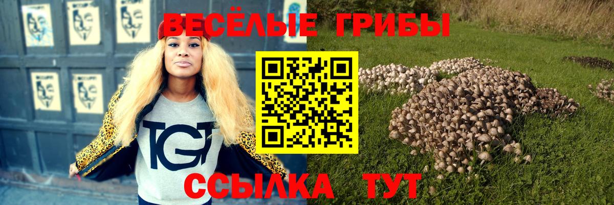 Псилоцибиновые грибы Psilocybe  Вход с VPN  Псилоцибиновые грибы прущие грибы  Усть-Илимск 